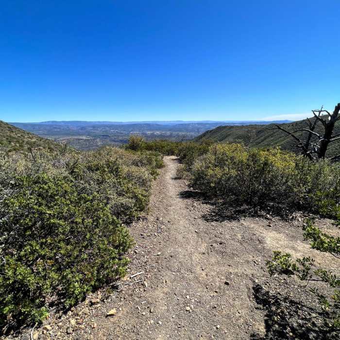Near Arizona Trail Passage 24: Red Hills