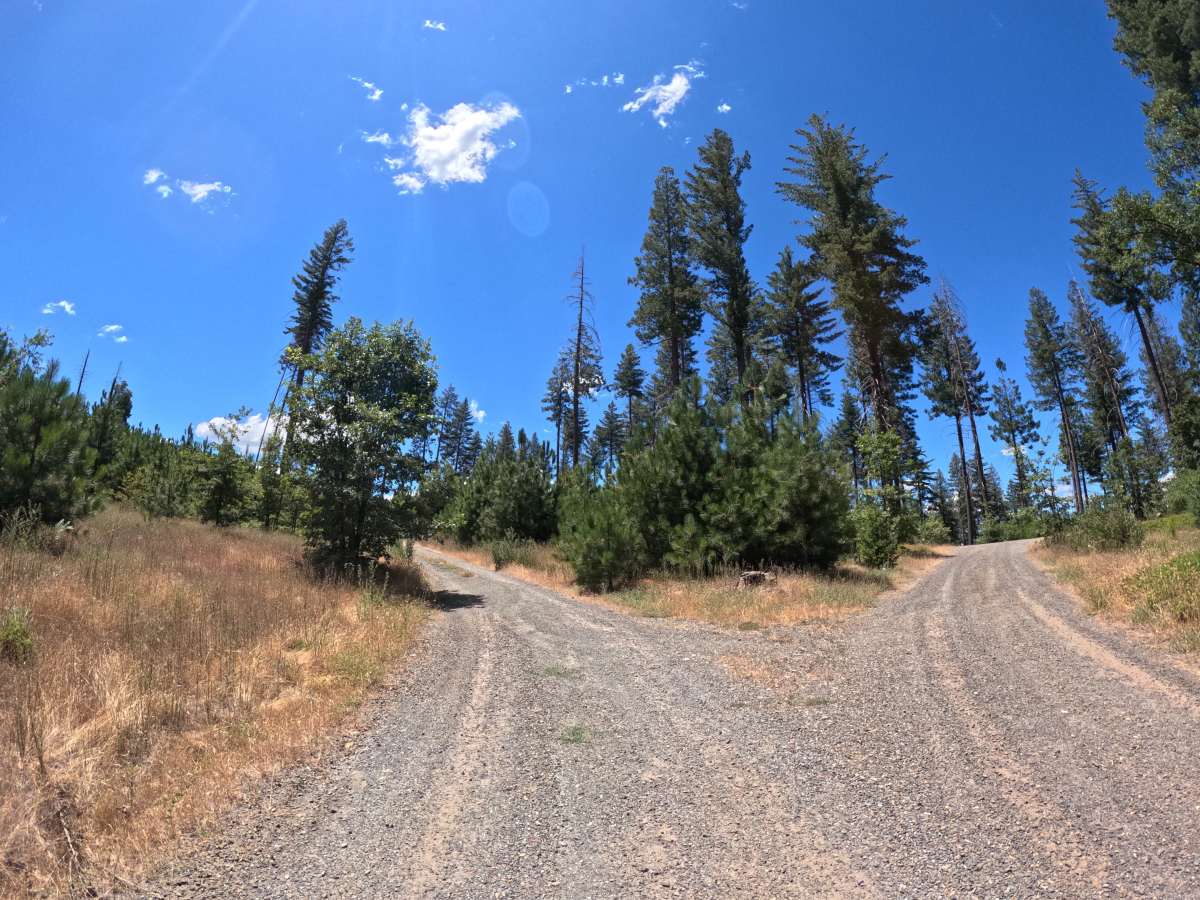 FS 1S64 trail photo