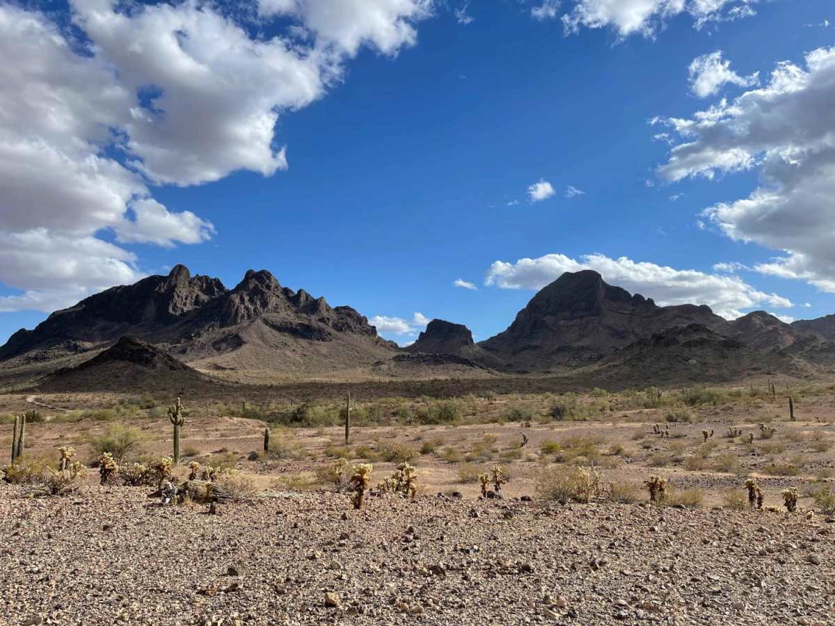AXPT Bouse to Southern Cross Mine trail photo