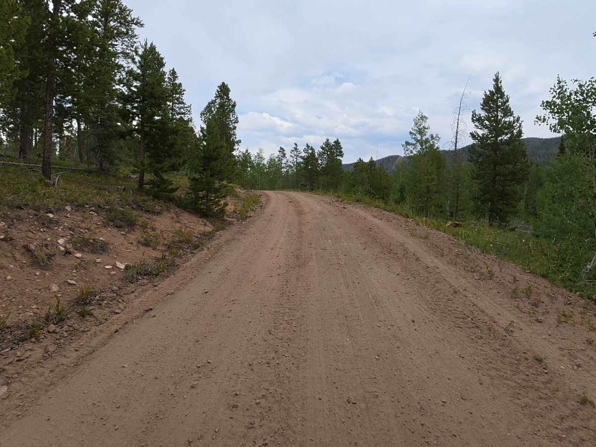 Bobcat Road - FS 185 photo 2