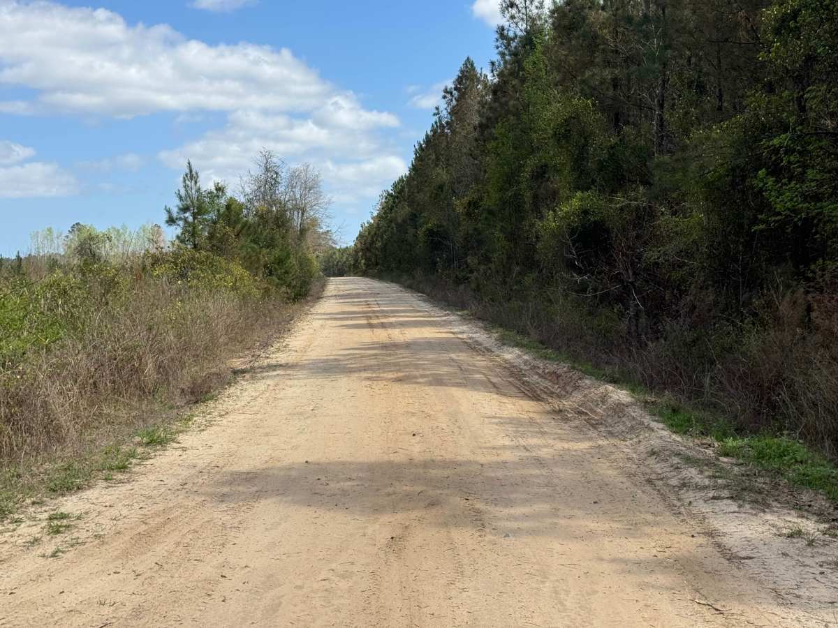 Main Road photo 6