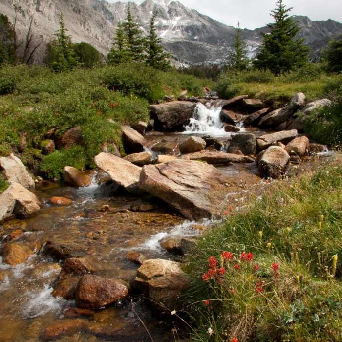 Near Fall Creek - Surprise Valley, Broad Canyon Divide