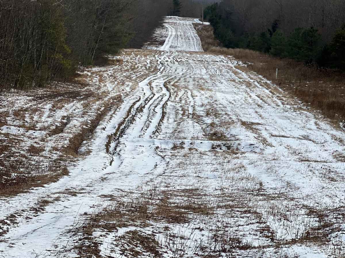 Dehaas Line Trail photo 6