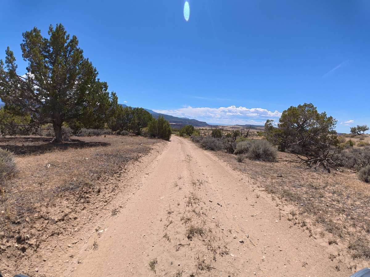 BLM 288 photo 2