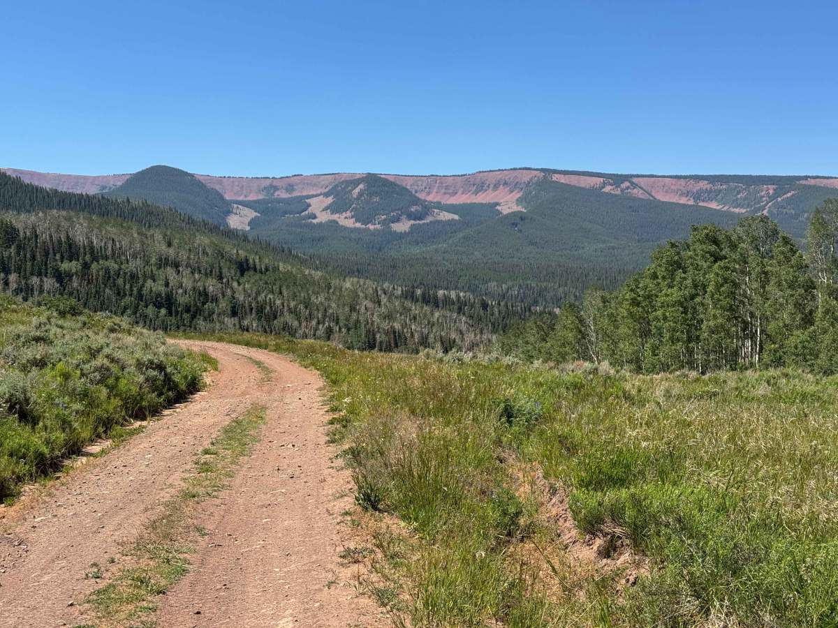 FS 414 trail photo