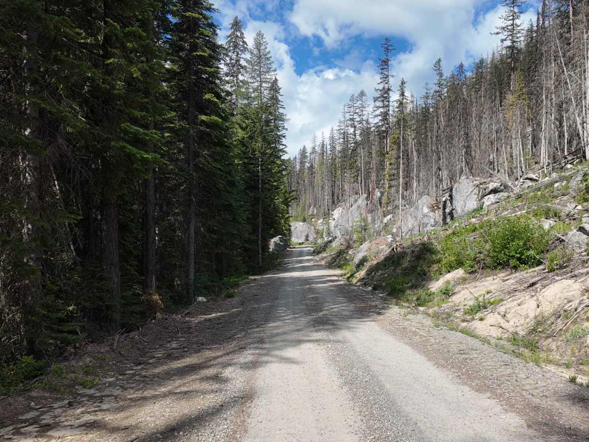 Trout Creek of the Selkirk trail photo