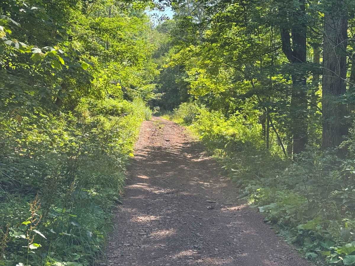 Bluebird Road photo 5