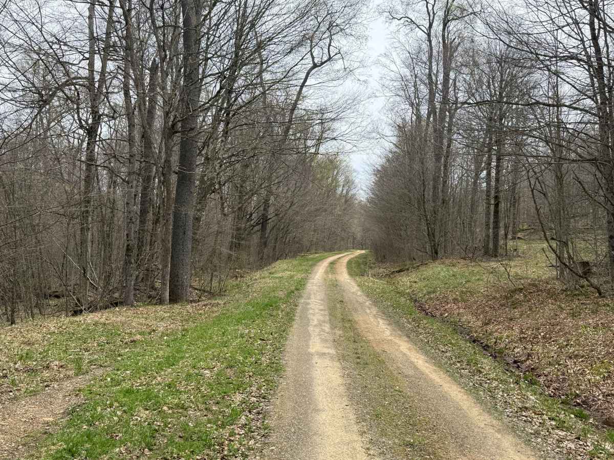 East Bucklick - FS 435 photo 6