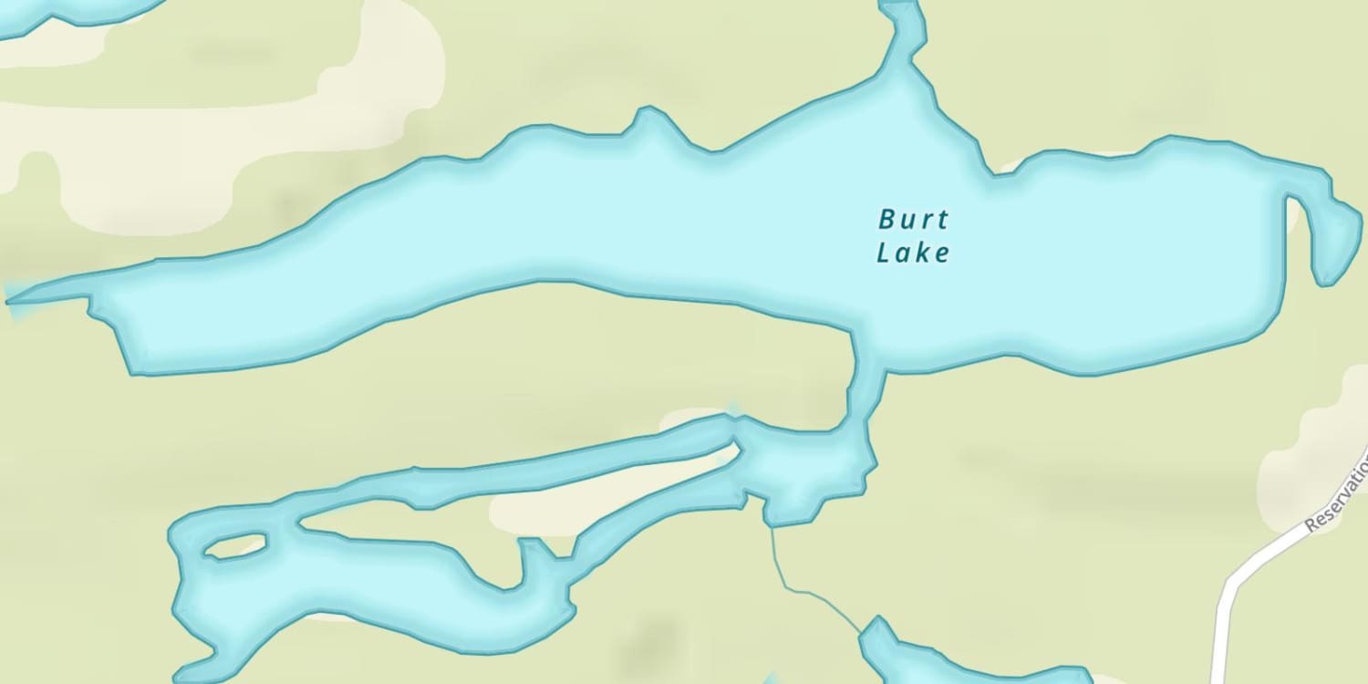 Burt Lake