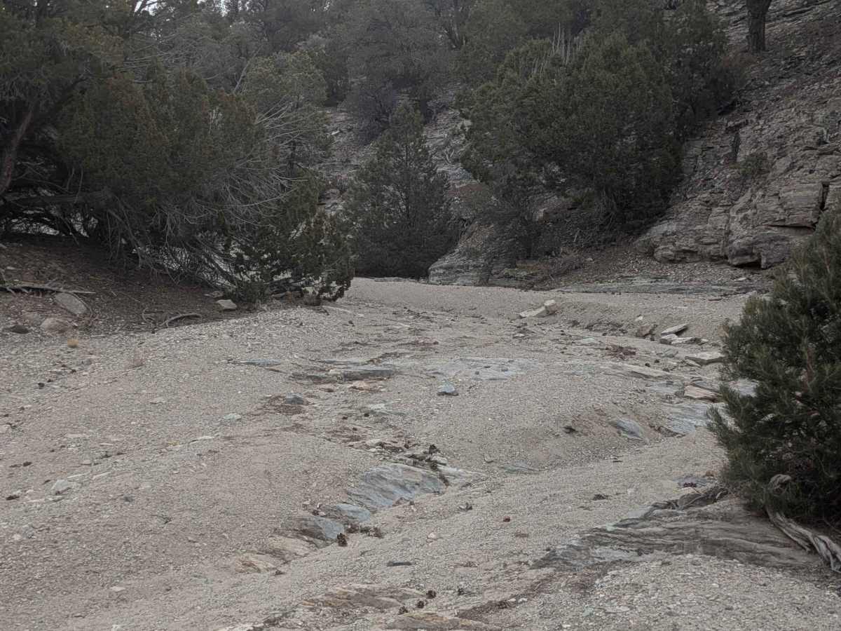 Side Canyon Road photo 5