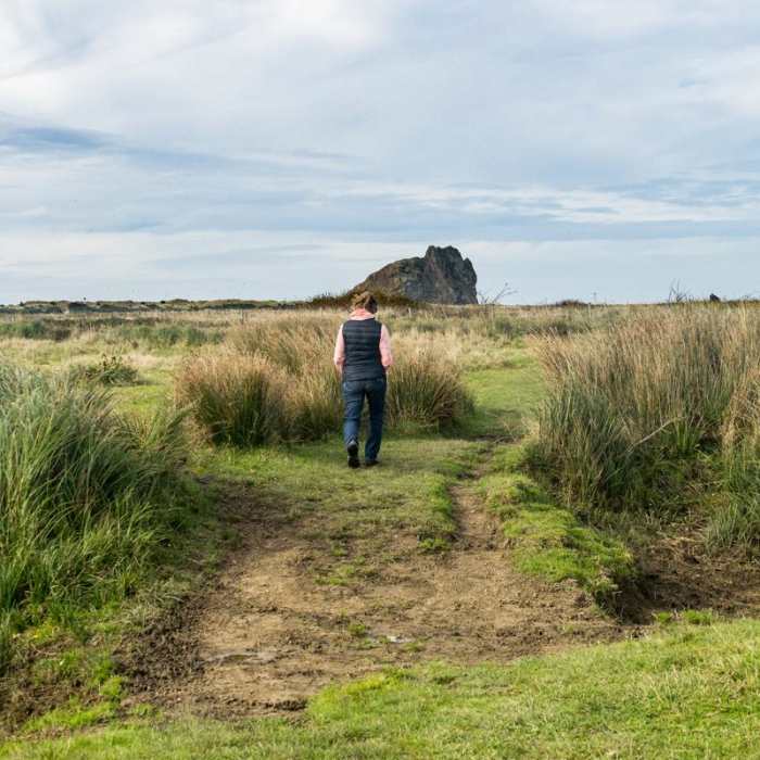 Near River Trail Hike
