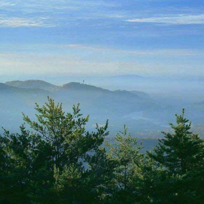 Sunrise in the fall. Near Pine Mountain Trail