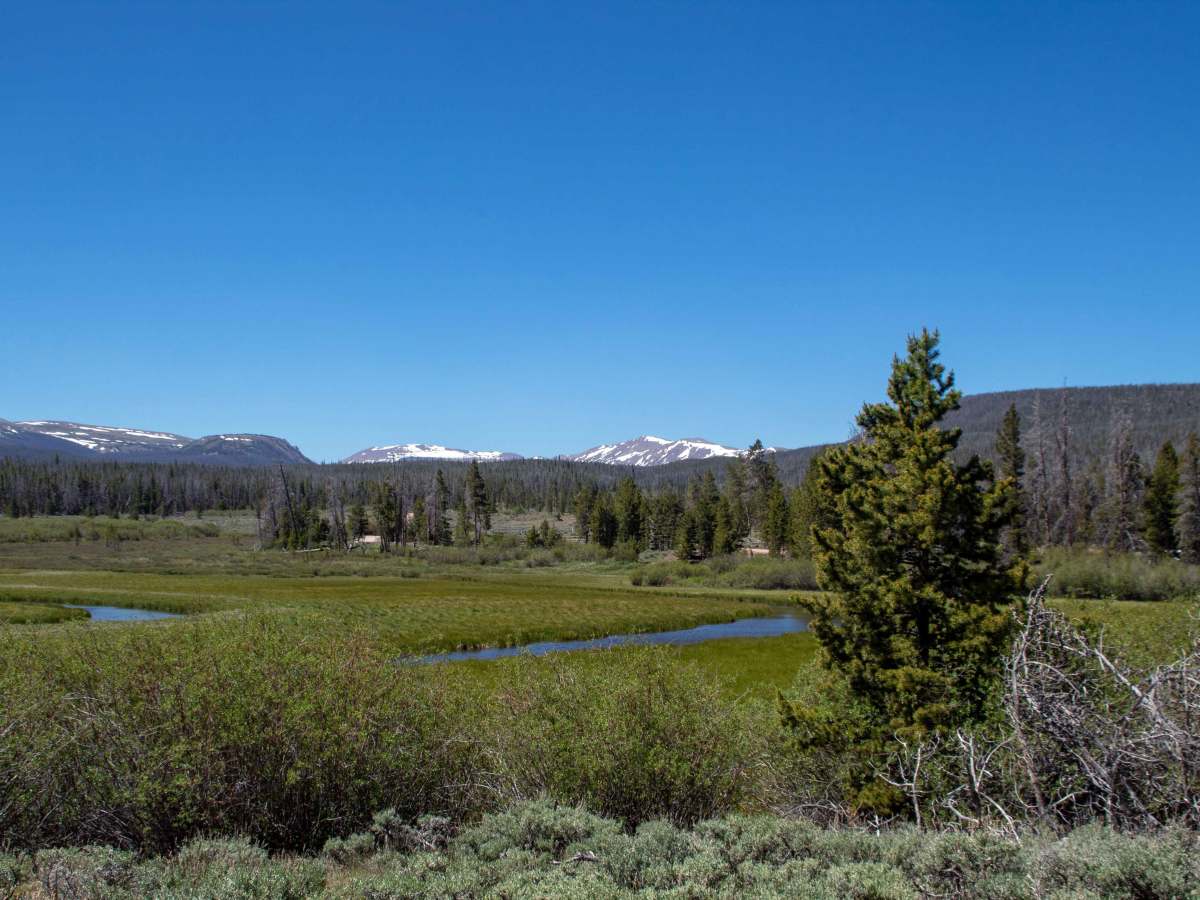 China Meadows photo 2