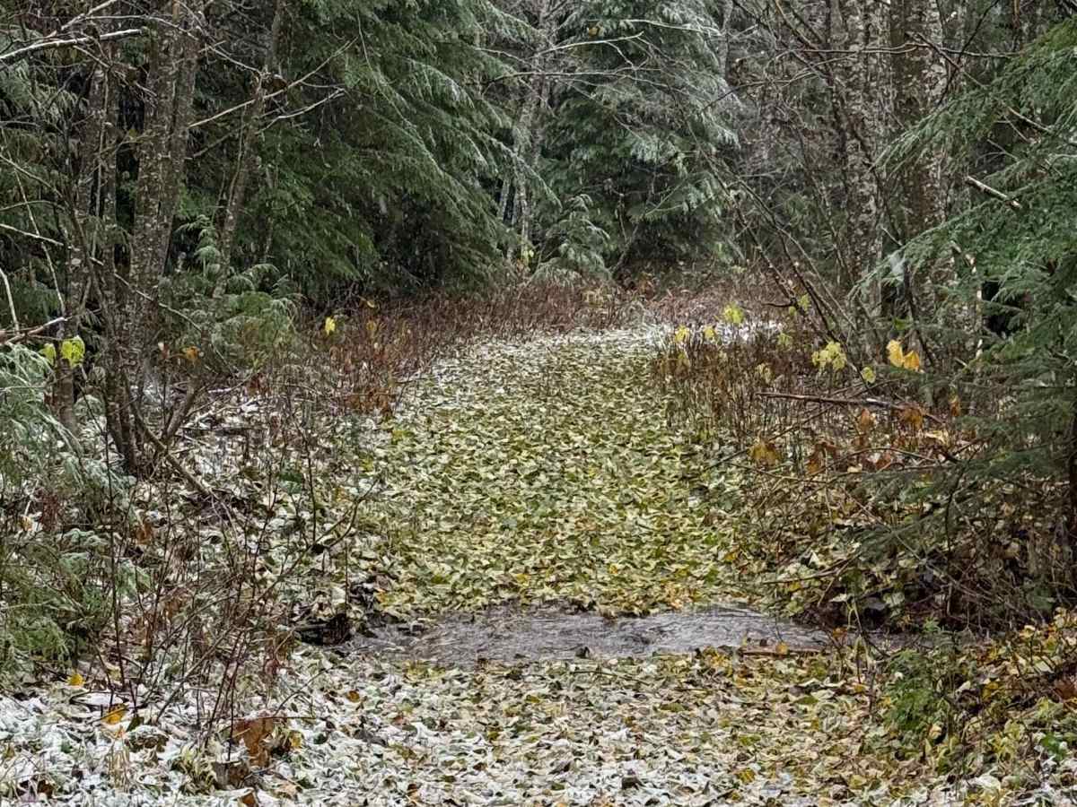 Bornite Mountain Trail photo 5
