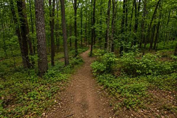 Thompson Creek Trail
