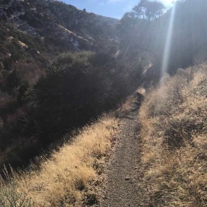 Working up the the narrow singletrack on the Third Fork Rock Creek Trail. Near Third Fork/Wahlstrom Hollow Loop