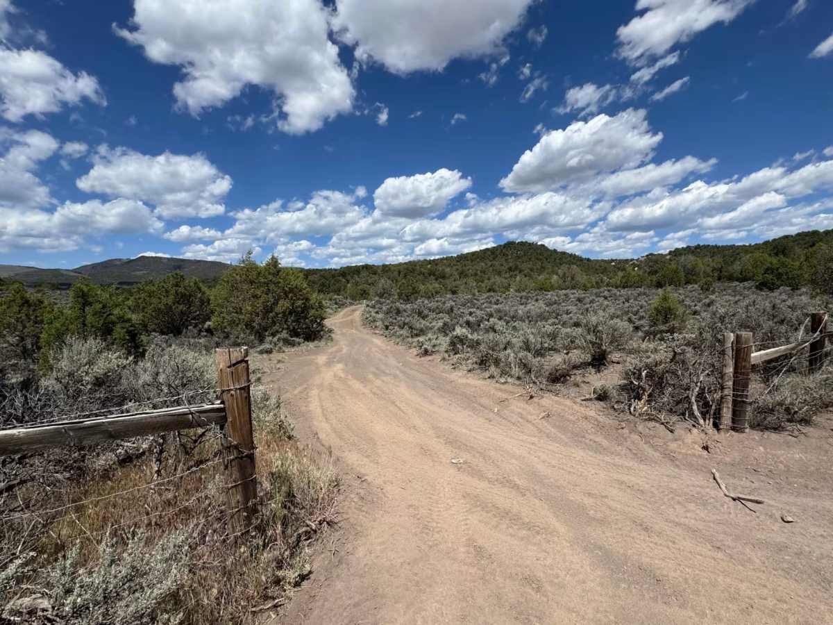 BLM 8460A trail photo