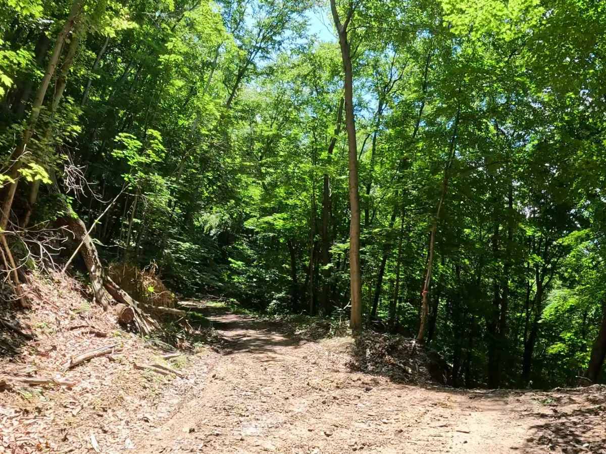 Q10B trail photo
