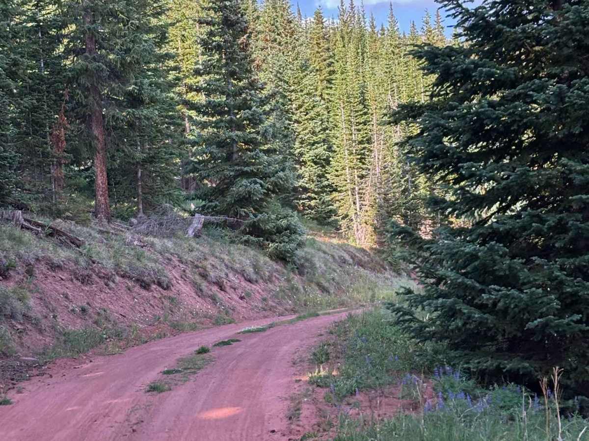 Hat Creek Road trail photo