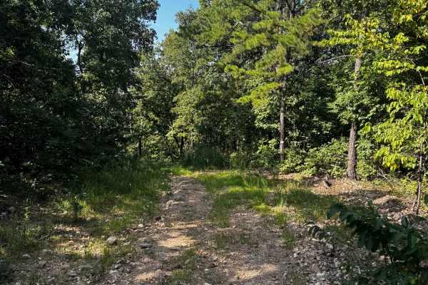 Short Track Loop 4