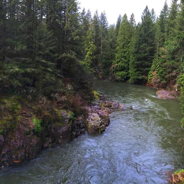 Near East Fork of the Lewis River Trail