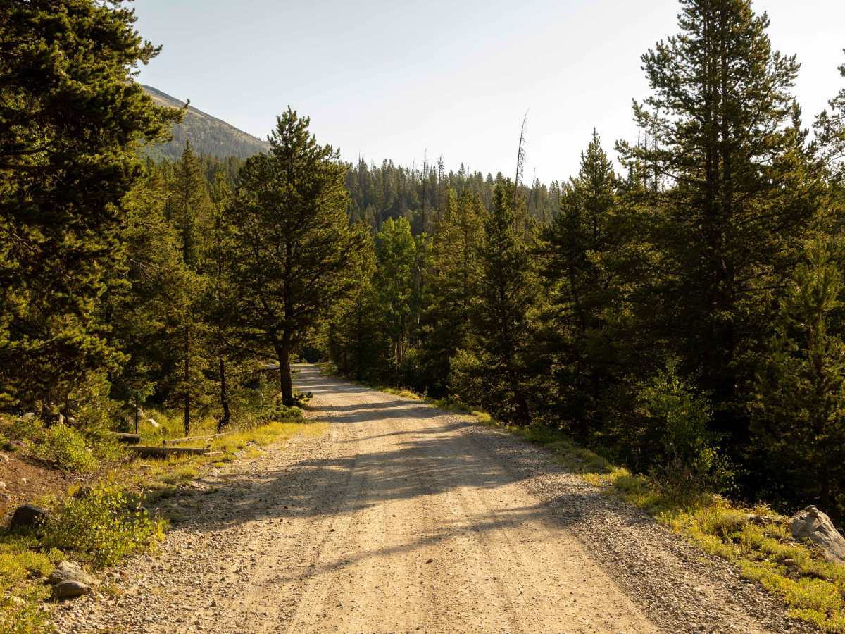 Marshall Pass (East) photo 3