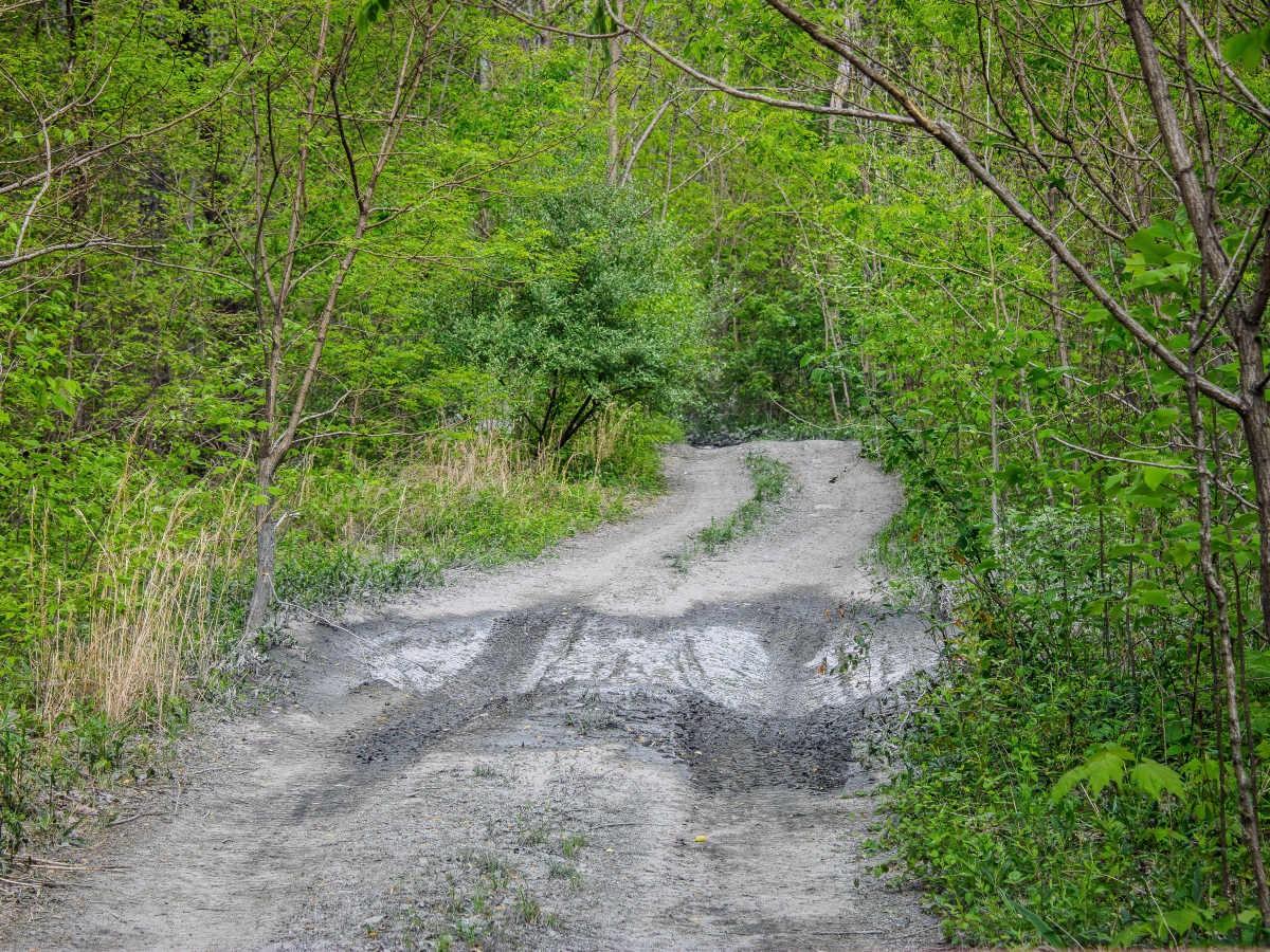 S8 Trail photo 3