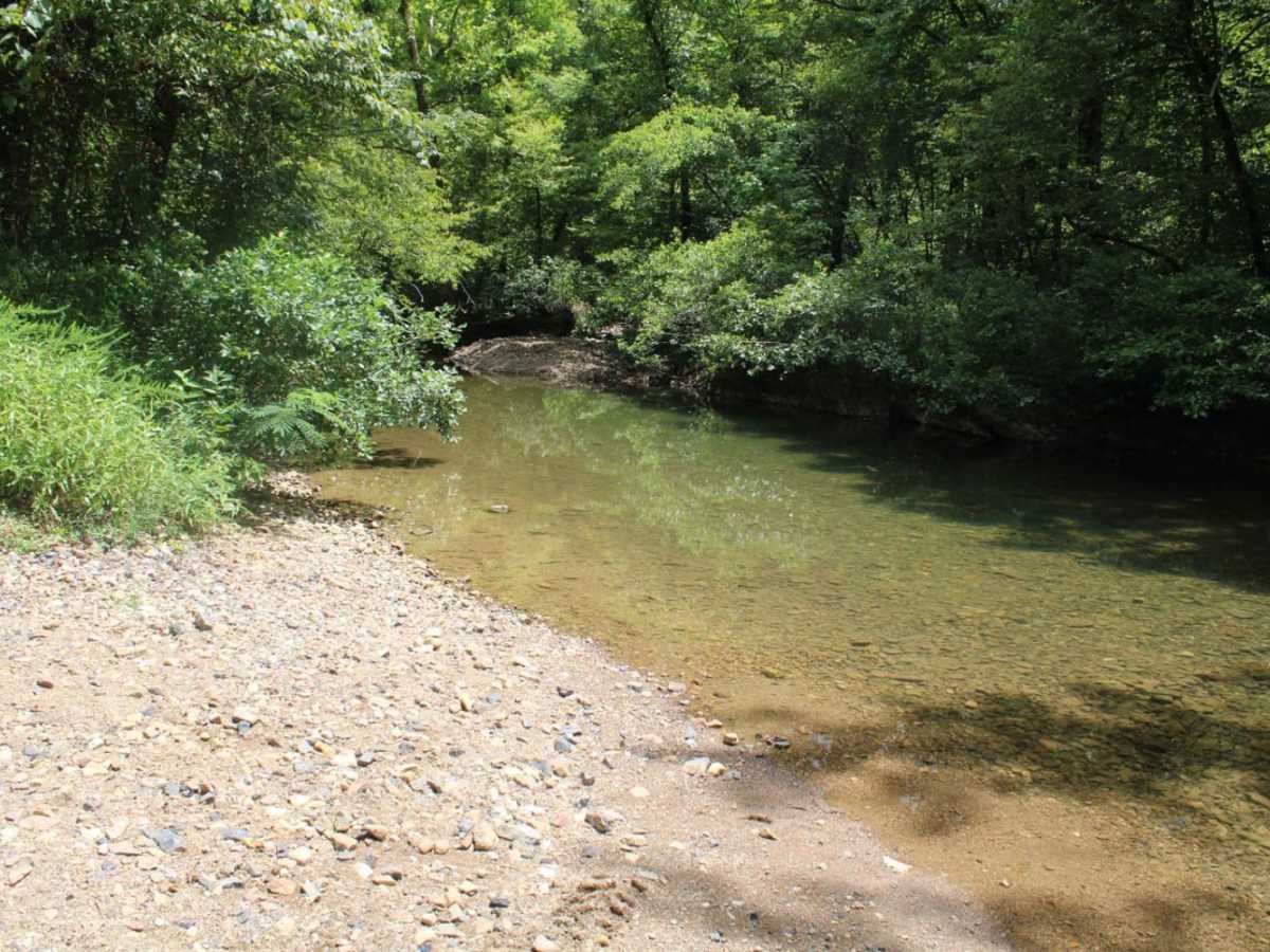 Two Mile Road trail photo