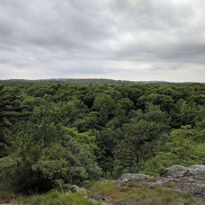 Near Nimrod Rock Trail