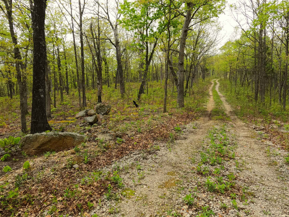 North James - FS 2743 photo 6