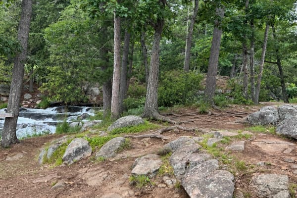 Havelock Belmont Trail