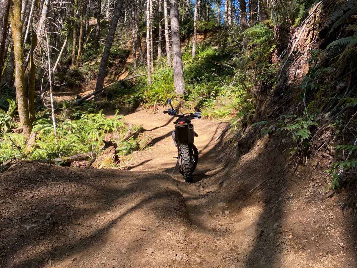 #22 - Back to Back trail photo