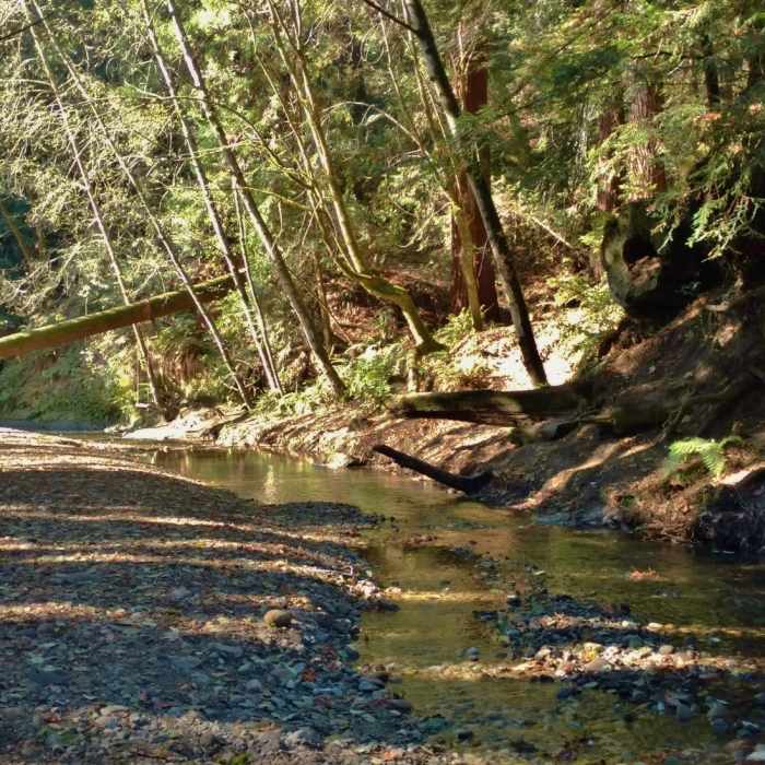 Oak Ridge Trail | Hiking Trail Maps, Difficulty, Trail Status | onX
