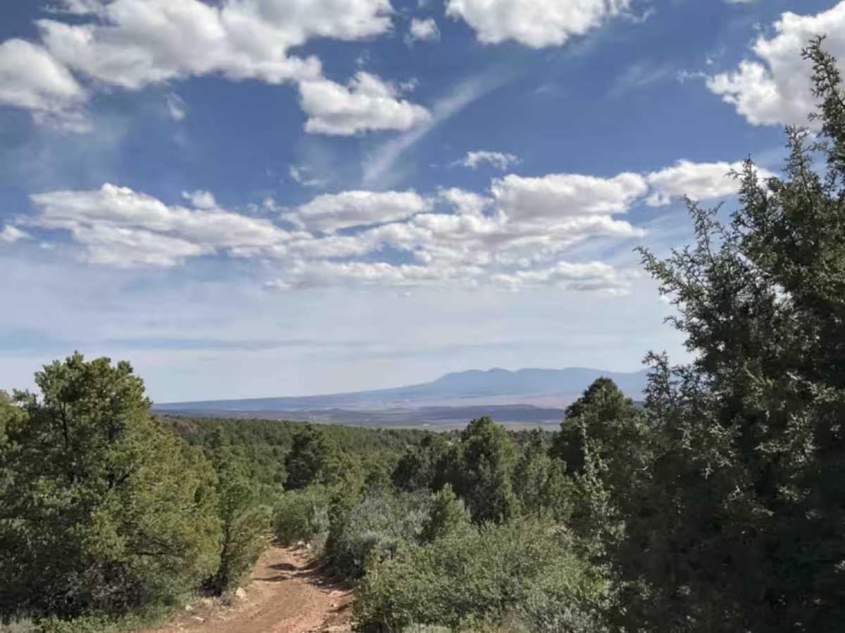 FS 4759 trail photo