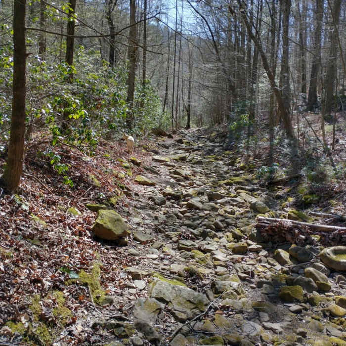 Near Piney River Pocket Wilderness