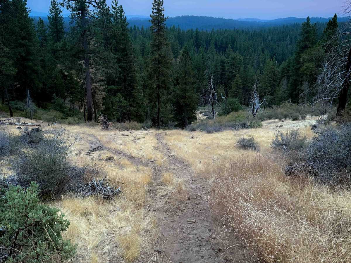 15EV64 photo 3