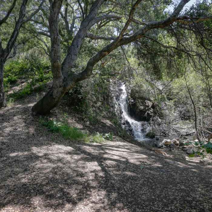 Near Reservoir Canyon Falls