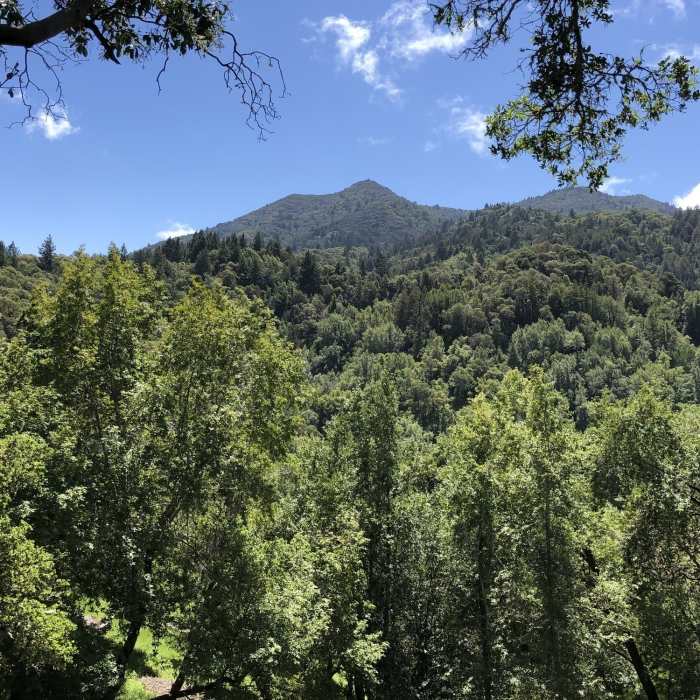 Near Phoenix Lake Loop