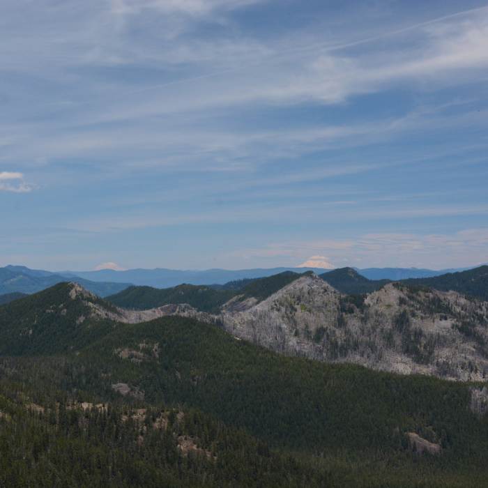 Near Battle Ax Mountain Loop