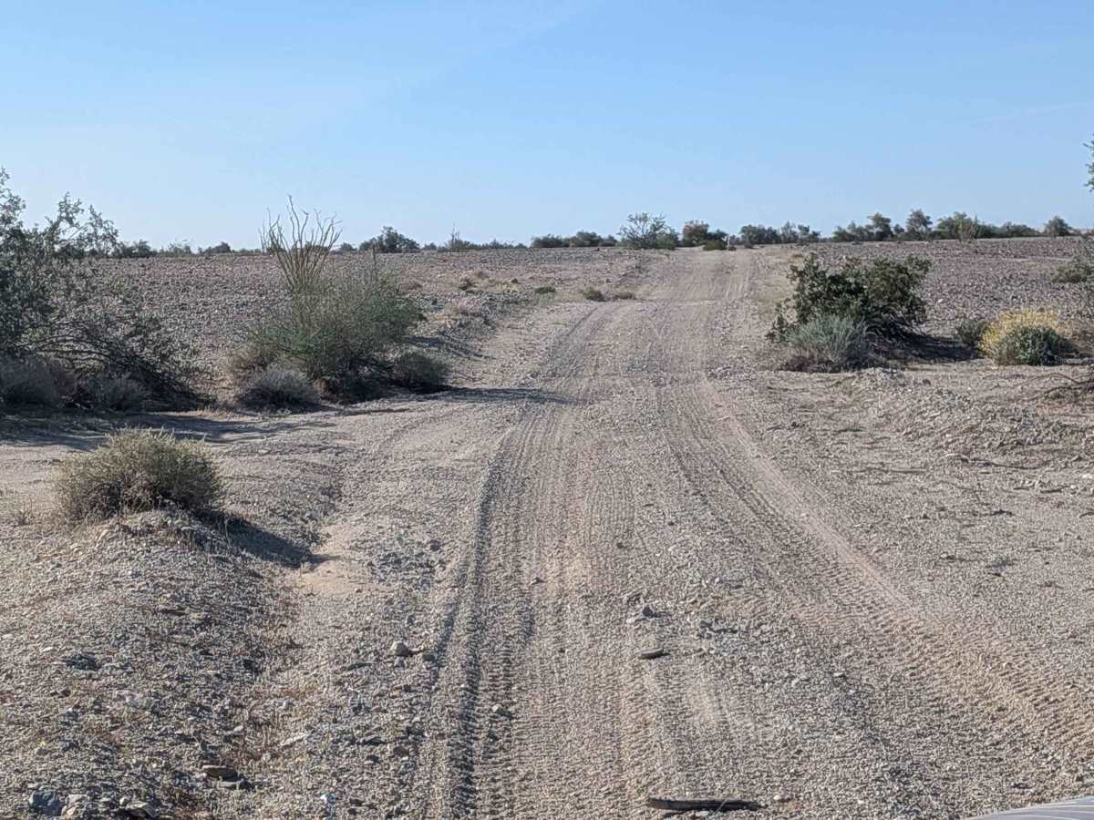 BLM 668 photo 5