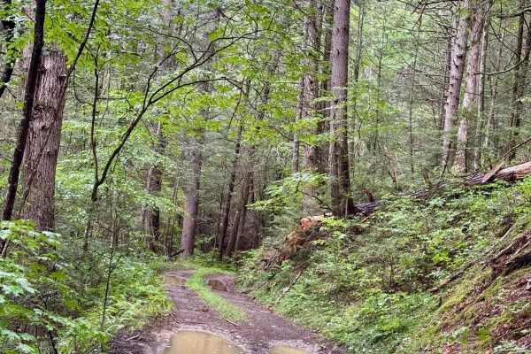 Beaver Creek Road - CR 21