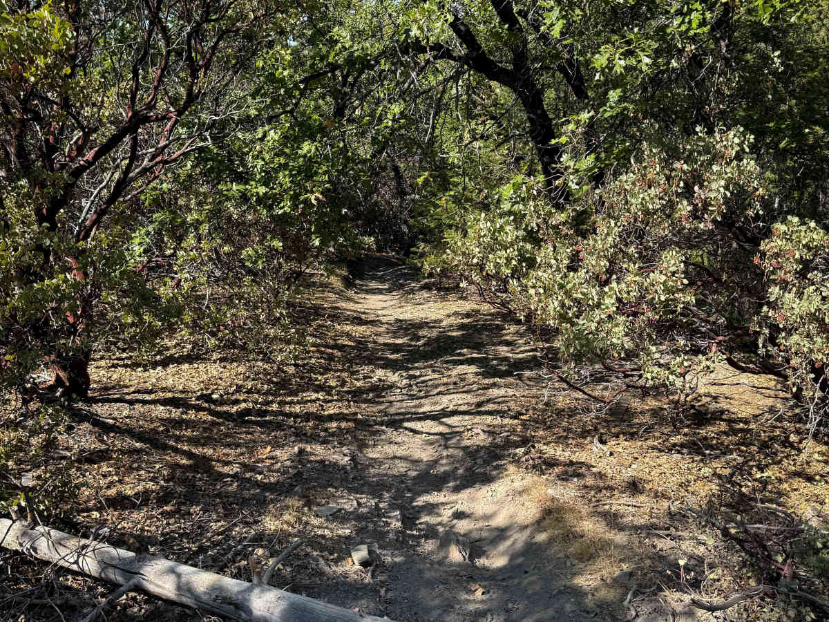 Trail 1-5 (11E51)  photo 3