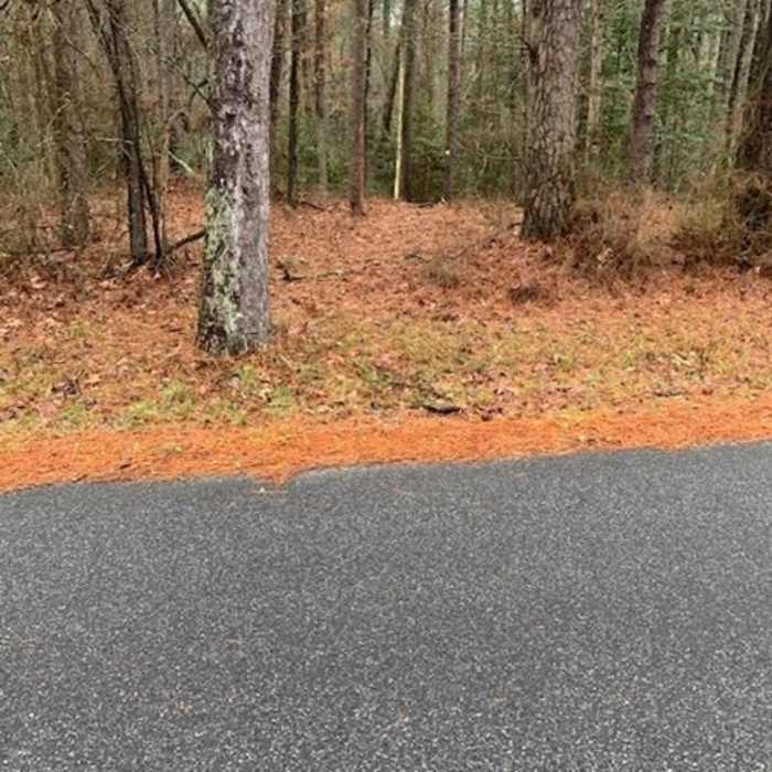 Near Yellow Furnace Loop