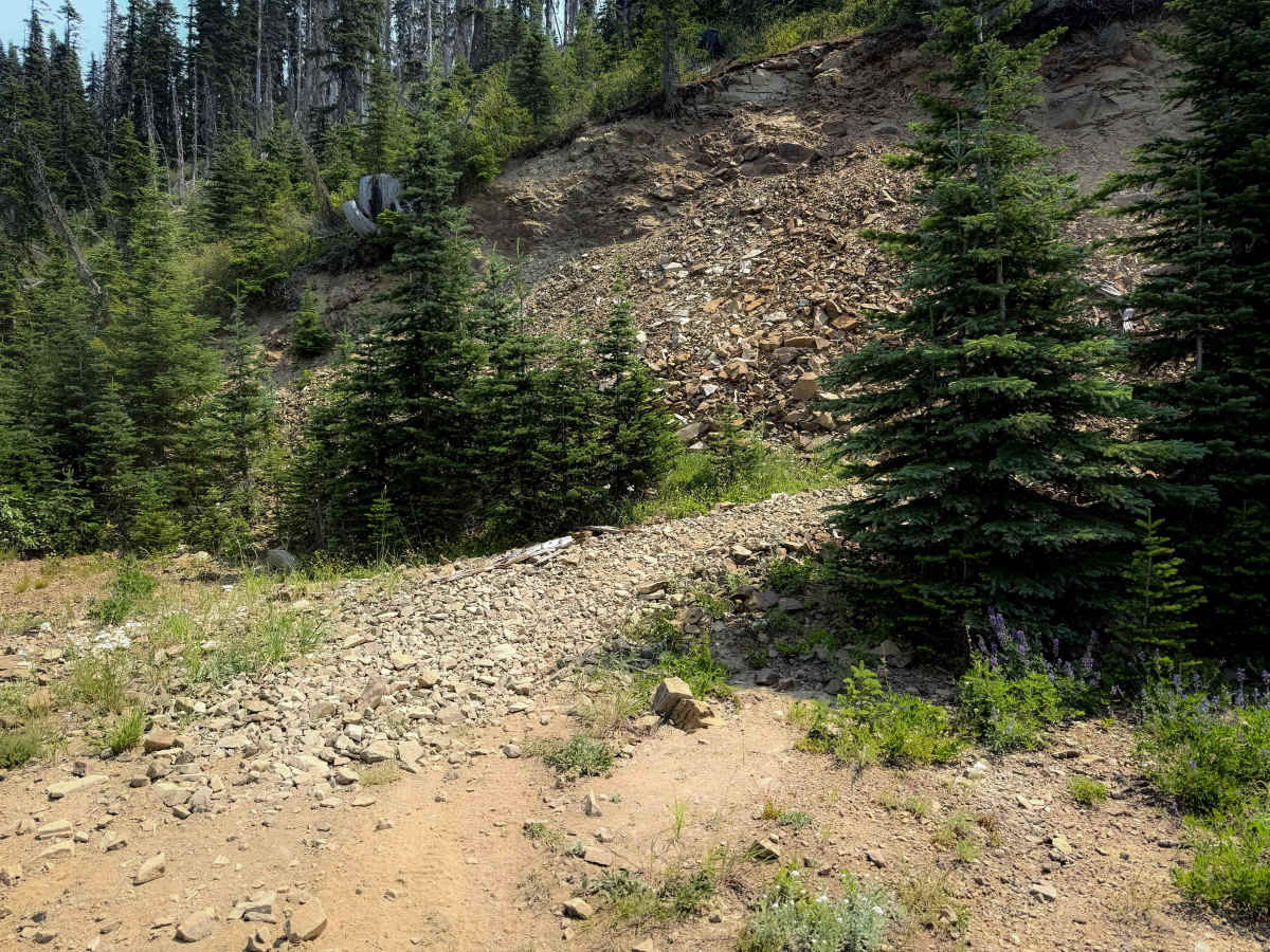 Sasse Mountain (Upper) 1340   photo 3
