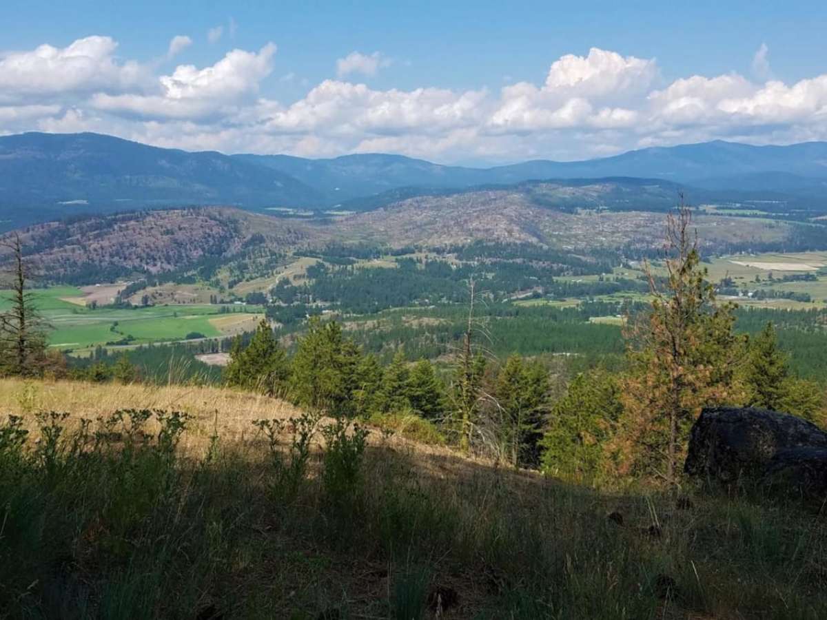 Iron Mtn-Chewelah photo 2