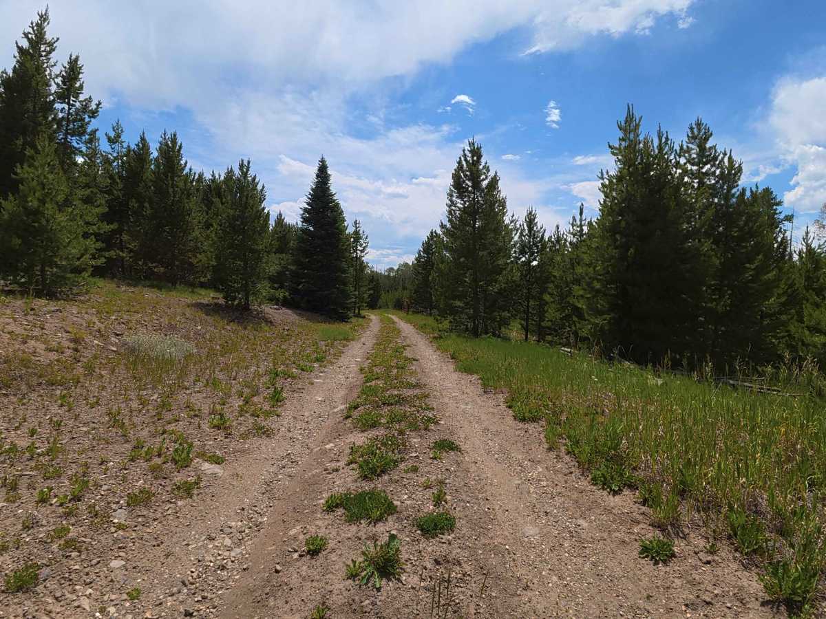Dirty Bird Spur B Road - 121.1B trail photo