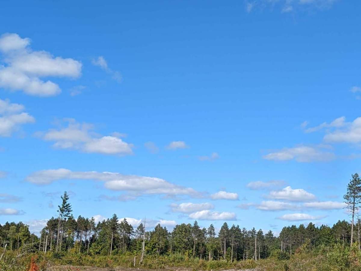 Hunters Road trail photo