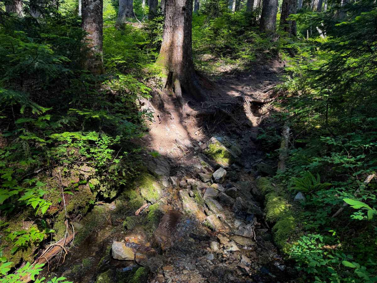 Teeley Creek 251  photo 2