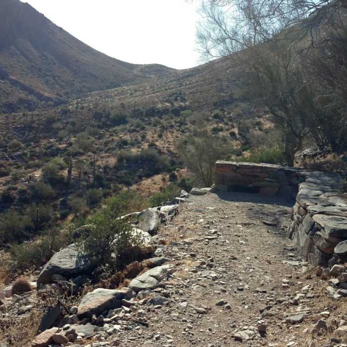 Near Windgate Pass Trail