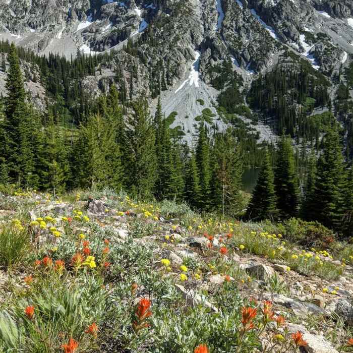 Near Alice-Toxaway Loop